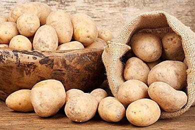 深挖现有内容！《第一后裔》透露11月更新内容与未来更新方向